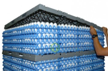 система паллетирования и транспортировки яиц. Смотреть фото система паллетирования и транспортировки яиц. Смотреть картинку система паллетирования и транспортировки яиц. Картинка про система паллетирования и транспортировки яиц. Фото система паллетирования и транспортировки яиц система паллетирования и транспортировки яиц. Смотреть фото система паллетирования и транспортировки яиц. Смотреть картинку система паллетирования и транспортировки яиц. Картинка про система паллетирования и транспортировки яиц. Фото система паллетирования и транспортировки яиц